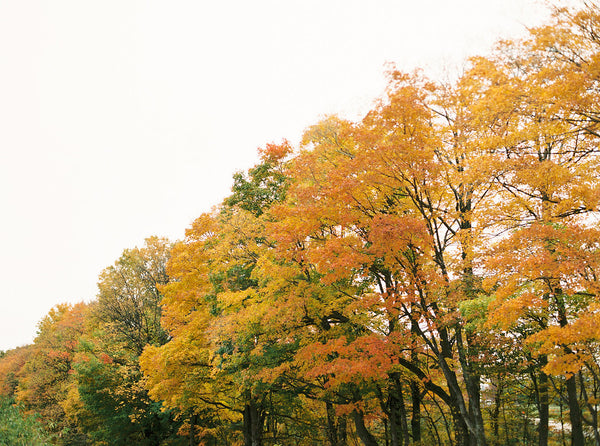 Painting Fall in Door County Workshop