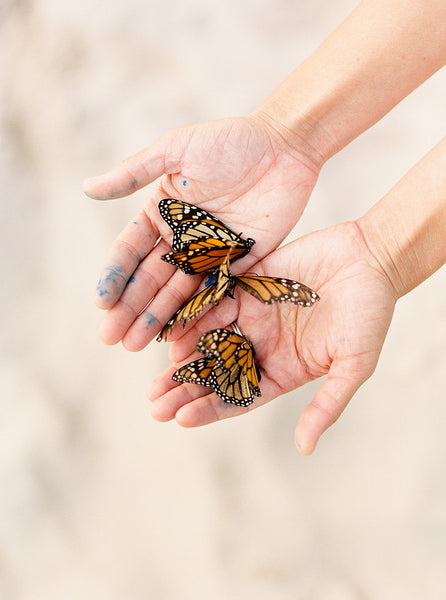 Painting Fall in Door County Workshop