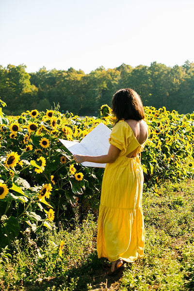 Painting Sunflowers Workshop