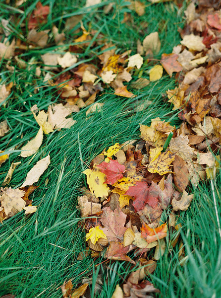 Painting Fall in Door County Workshop