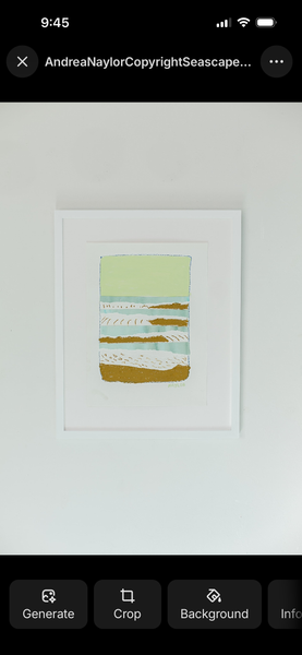 Andrea Naylor Paper Collage Kit