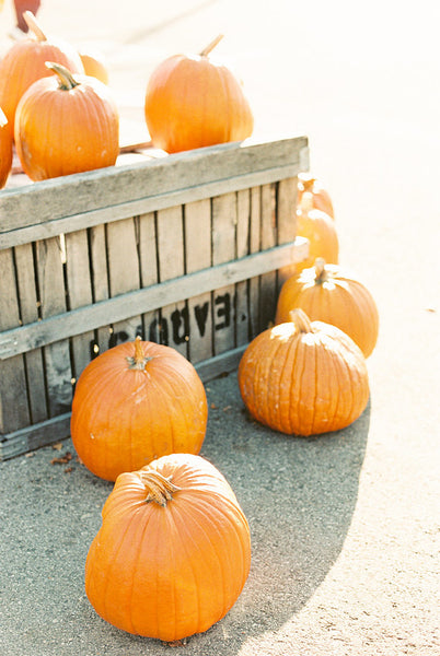 Painting Fall in Door County Workshop