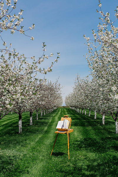 Painting in the Cherry Blossoms Workshop (Door County)