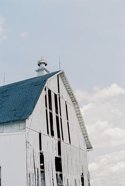 Painting Sunflowers Workshop