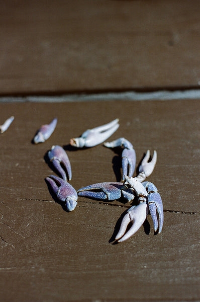 Travel + Paint Washington Island/Rock Island Workshop