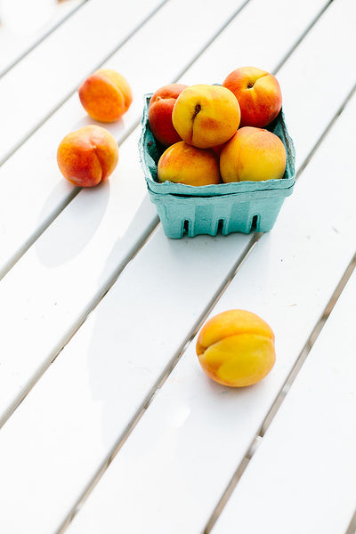 Painting Still Life Workshop