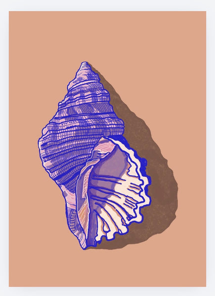 “5x7" Card Pack (6)- Seashells