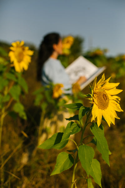 Painting Sunflowers Workshop
