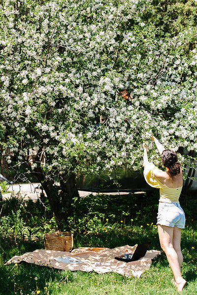 Painting in the Cherry Blossoms Workshop (Door County)