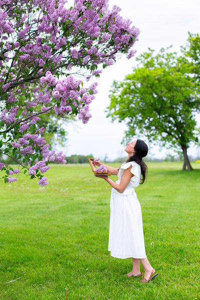 Painting Flowers Workshop