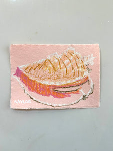 Conch Shell 7