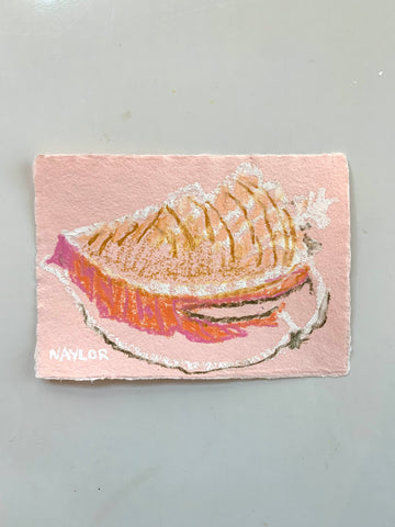 Conch Shell 7